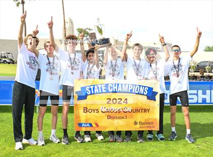 Thumbnail 1 in AIA D-I Boys State Championship (Awards) photogallery.