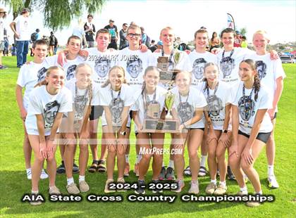 Thumbnail 3 in AIA D-I Boys State Championship (Awards) photogallery.