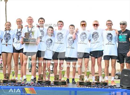 Thumbnail 1 in AIA D-I Boys State Championship (Awards) photogallery.