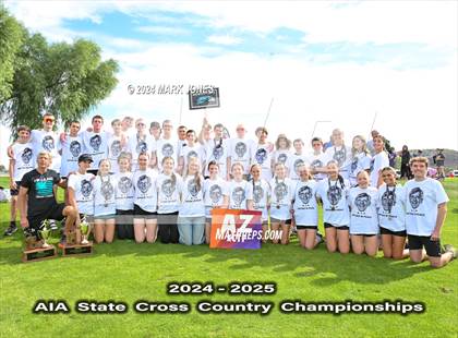 Thumbnail 2 in AIA D-I Boys State Championship (Awards) photogallery.