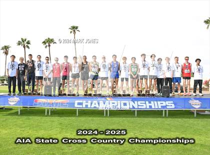 Thumbnail 3 in AIA D-I Boys State Championship (Awards) photogallery.