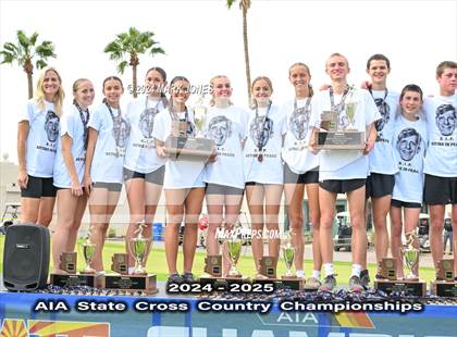 Thumbnail 3 in AIA D-I Boys State Championship (Awards) photogallery.