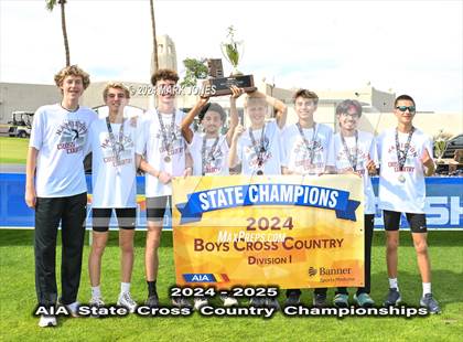 Thumbnail 1 in AIA D-I Boys State Championship (Awards) photogallery.