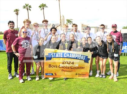 Thumbnail 2 in AIA D-I Boys State Championship (Awards) photogallery.