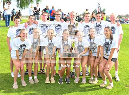 Thumbnail 3 in AIA D-I Boys State Championship (Awards) photogallery.