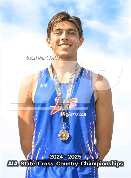 Thumbnail 2 in AIA D-I Boys State Championship (Awards) photogallery.
