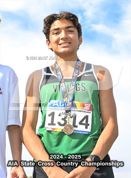 Thumbnail 3 in AIA D-I Boys State Championship (Awards) photogallery.