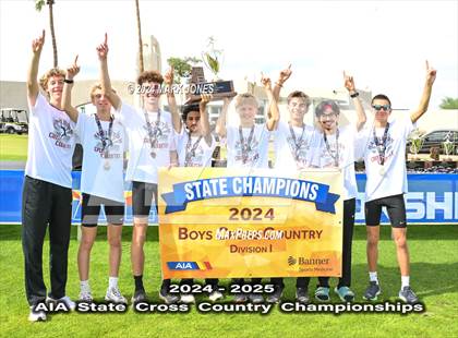 Thumbnail 1 in AIA D-I Boys State Championship (Awards) photogallery.