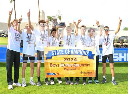 Thumbnail 3 in AIA D-I Boys State Championship (Awards) photogallery.