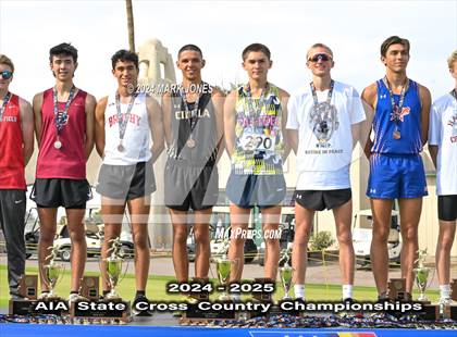 Thumbnail 2 in AIA D-I Boys State Championship (Awards) photogallery.