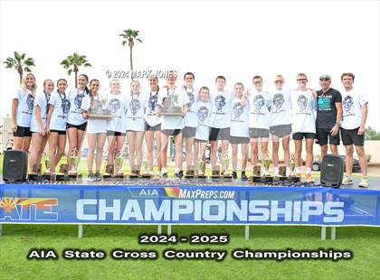 Thumbnail 1 in AIA D-I Boys State Championship (Awards) photogallery.