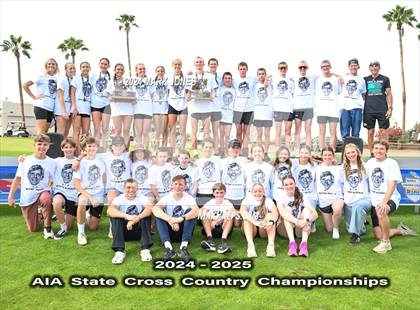 Thumbnail 2 in AIA D-I Boys State Championship (Awards) photogallery.