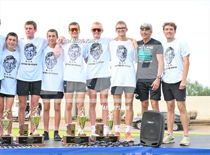 Thumbnail 2 in AIA D-I Boys State Championship (Awards) photogallery.