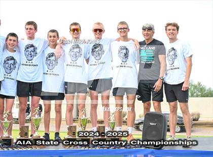 Thumbnail 3 in AIA D-I Boys State Championship (Awards) photogallery.