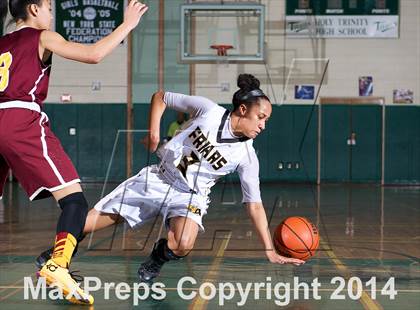 Thumbnail 2 in Nazareth vs St. Anthony's (NYSCHSAA Class AA Final) photogallery.