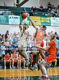 Photo from the gallery "Beech @ Gallatin"