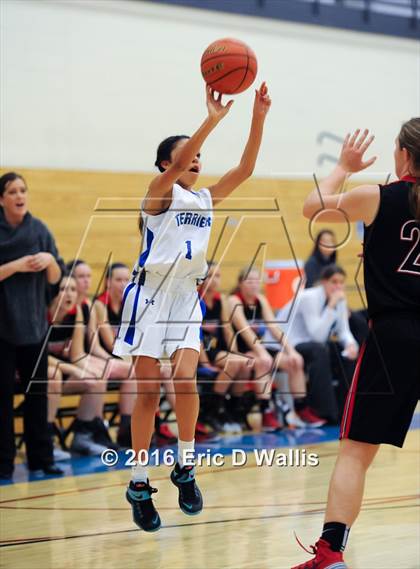 Thumbnail 2 in Westfield @ West Springfield photogallery.