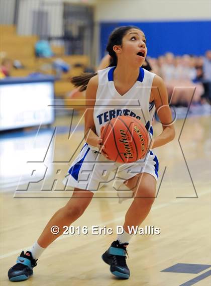 Thumbnail 1 in Westfield @ West Springfield photogallery.