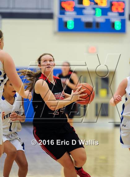 Thumbnail 2 in Westfield @ West Springfield photogallery.