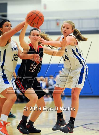 Thumbnail 2 in Westfield @ West Springfield photogallery.