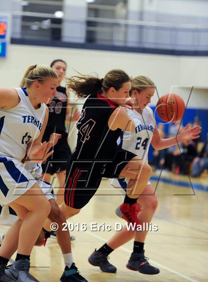 Thumbnail 2 in Westfield @ West Springfield photogallery.