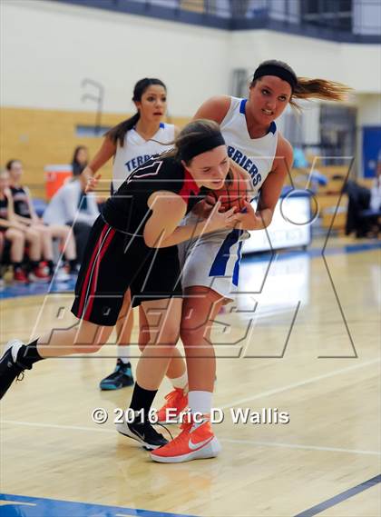 Thumbnail 3 in Westfield @ West Springfield photogallery.