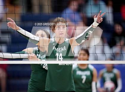 Thumbnail 3 in Prosper vs Allen photogallery.