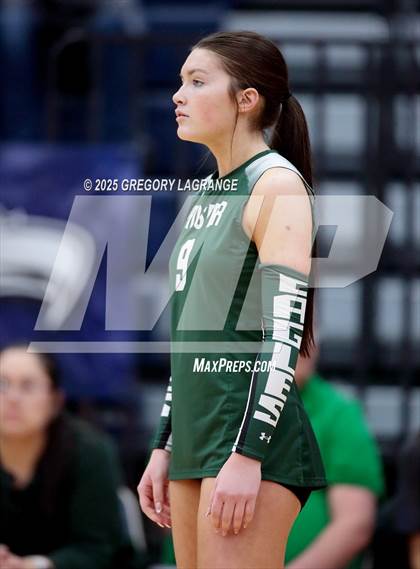 Thumbnail 1 in Prosper vs Allen photogallery.