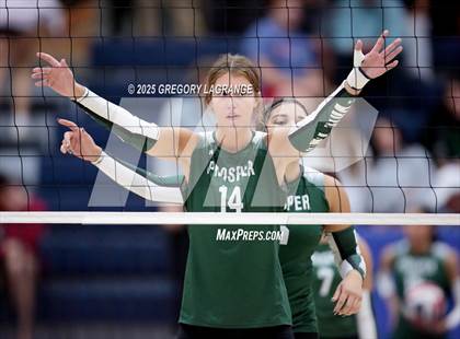 Thumbnail 1 in Prosper vs Allen photogallery.