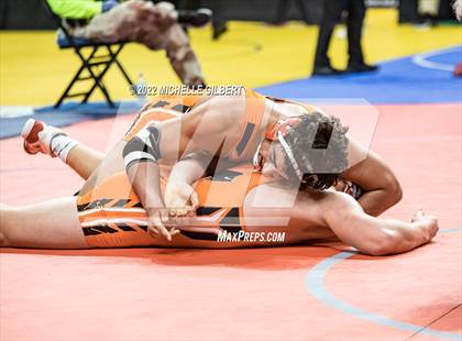 Thumbnail 2 in NYSPHSAA D2 State Championship Wrestling  photogallery.