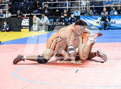 Thumbnail 3 in NYSPHSAA D2 State Championship Wrestling  photogallery.