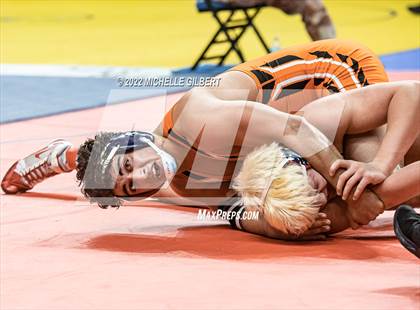 Thumbnail 3 in NYSPHSAA D2 State Championship Wrestling  photogallery.