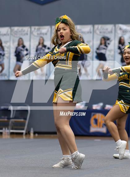 Thumbnail 2 in Harbor - CIF Northern Regional Cheer Championships photogallery.