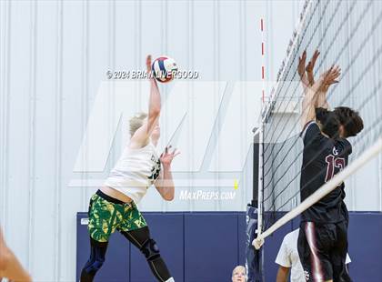 Thumbnail 1 in Regis Groff vs. Bear Creek photogallery.