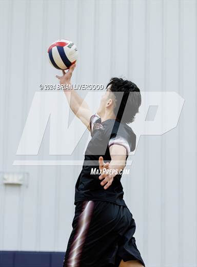 null - Photo 11