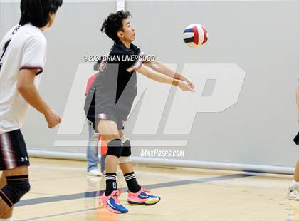 Thumbnail 1 in Regis Groff vs. Bear Creek photogallery.