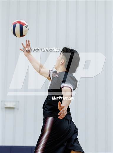 null - Photo 31