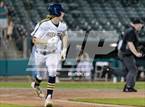 Photo from the gallery "Sutter vs. Union Mine "