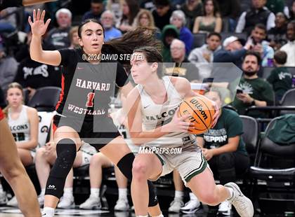 Thumbnail 2 in Harvard-Westlake vs. Colfax (CIF State D2 Final) photogallery.