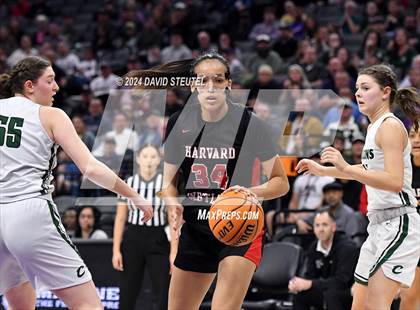 Thumbnail 3 in Harvard-Westlake vs. Colfax (CIF State D2 Final) photogallery.