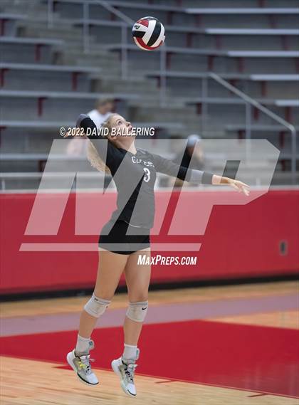 Thumbnail 1 in Guyer @ Marcus (Marauder Showcase) photogallery.