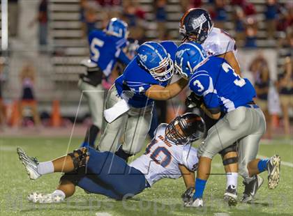 Thumbnail 1 in Brandeis @ Jay photogallery.