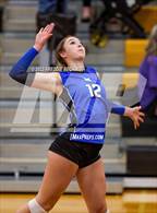 Photo from the gallery "Windthorst @ Henrietta"