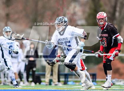 Thumbnail 3 in Westwood @ Paramus photogallery.