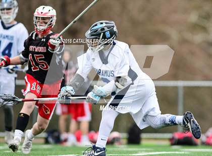 Thumbnail 3 in Westwood @ Paramus photogallery.