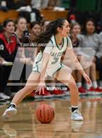 Photo from the gallery "Redwood @ Archie Williams"