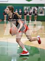 Photo from the gallery "Redwood @ Archie Williams"
