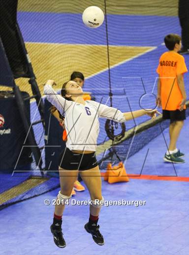 null - Photo 81