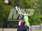 Photo from the gallery "King @ Wooster"