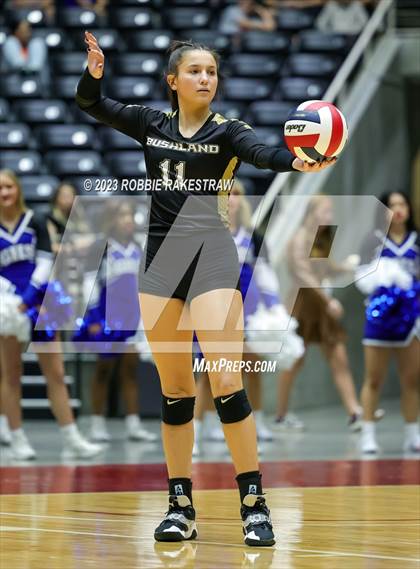 Thumbnail 2 in Gunter vs. Bushland (UIL 3A Volleyball Final) photogallery.